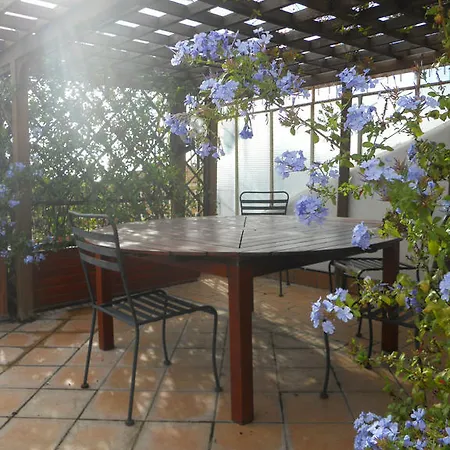 Appartamento La Terrazza Di Monteverde *